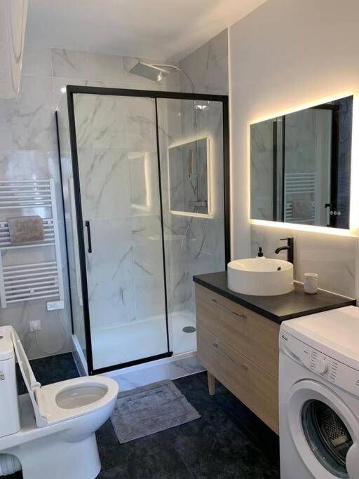 Lumineux Appartement Capitole Plein Centre ตูลูส ภายนอก รูปภาพ